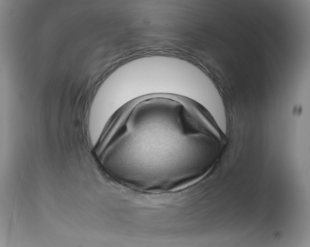 X0000112730033200909101502