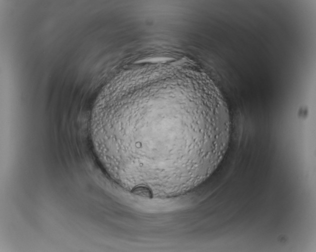 X0000112730034200909101502