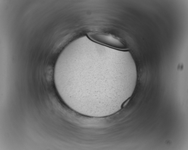 X0000112730036200909101502