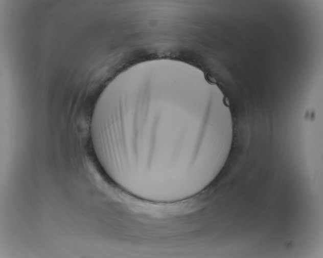 X0000112730039200909101502