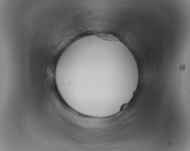 X0000112730040200909101502