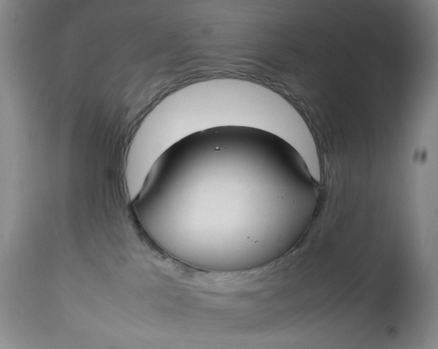 X0000112730041200909101502