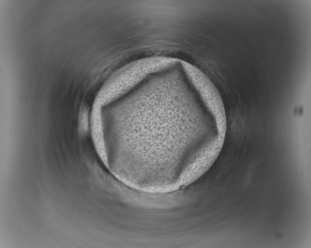 X0000112730042200909101502