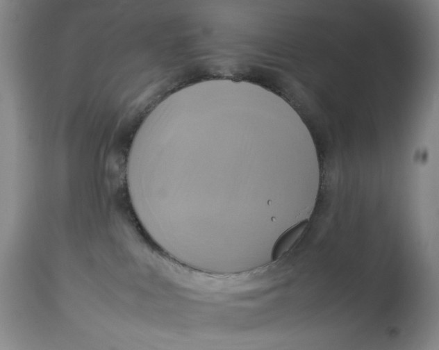 X0000112730043200909101502