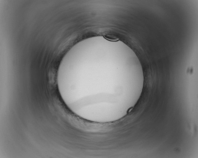 X0000112730044200909101502