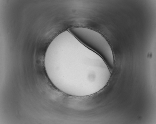 X0000112730045200909101502