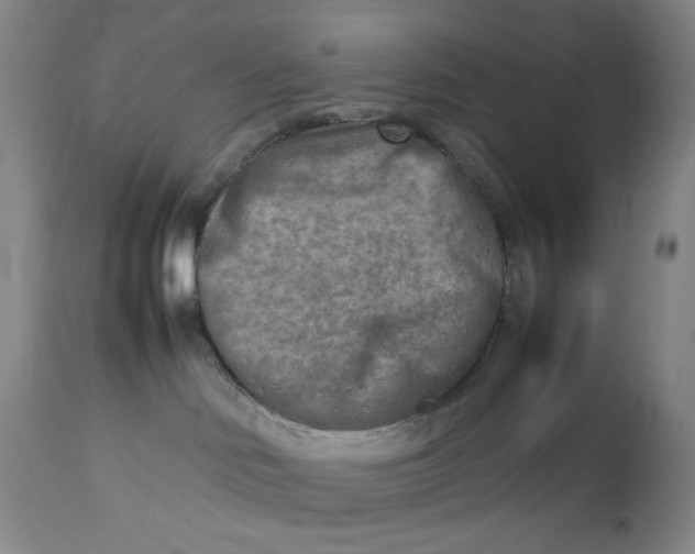 X0000112730046200909101502