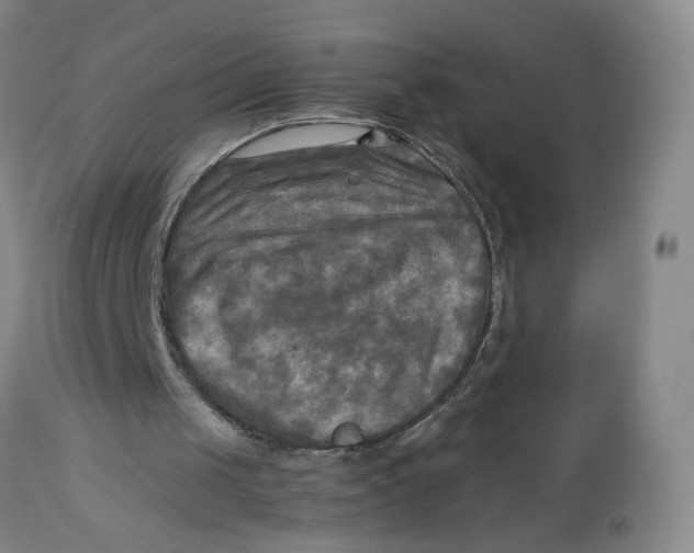 X0000112730049200909101501