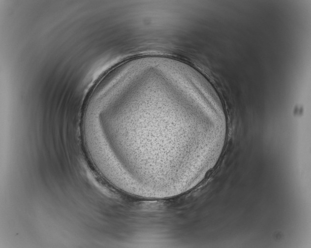 X0000112730050200909101501