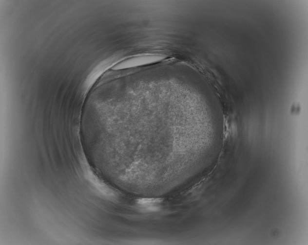 X0000112730051200909101501