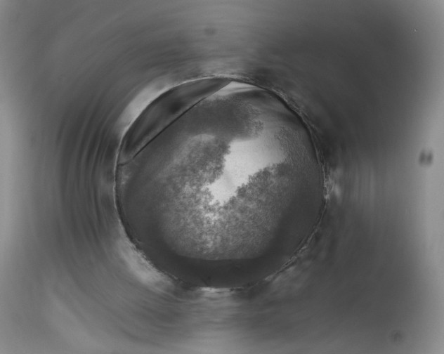 X0000112730052200909101501