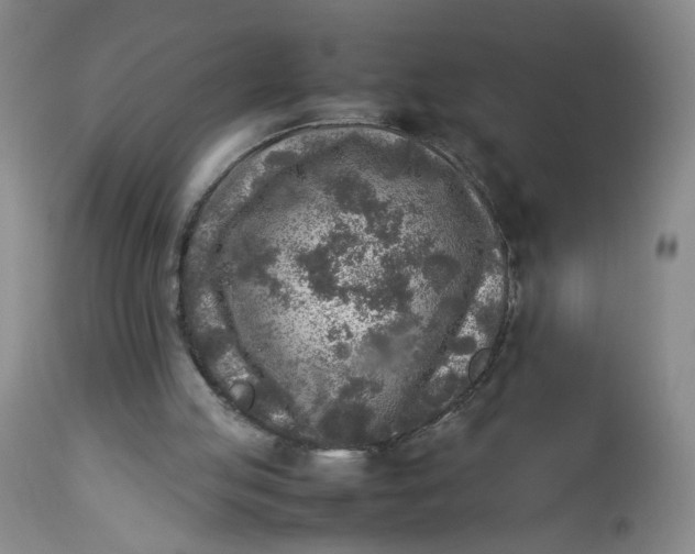 X0000112730053200909101501