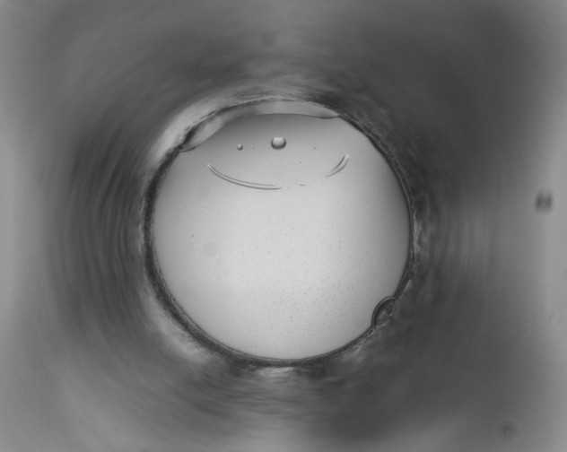 X0000112730054200909101501