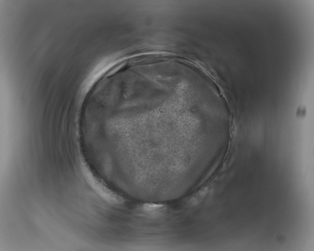 X0000112730055200909101501