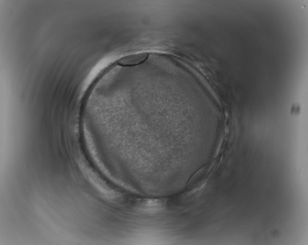 X0000112730056200909101502