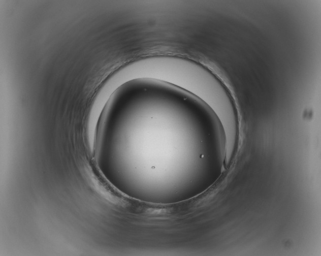 X0000112730057200909101502