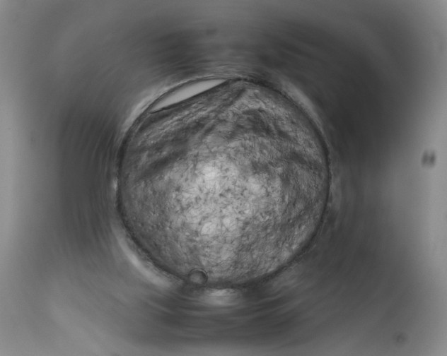 X0000112730059200909101502