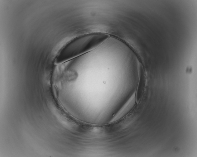 X0000112730060200909101502