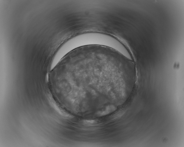 X0000112730061200909101502