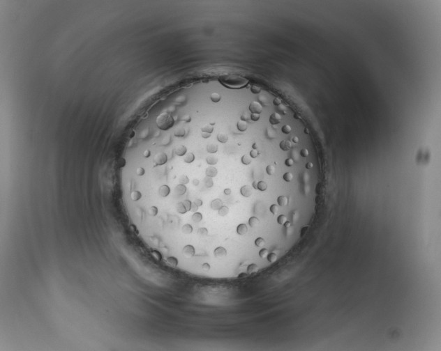 X0000112730063200909101502