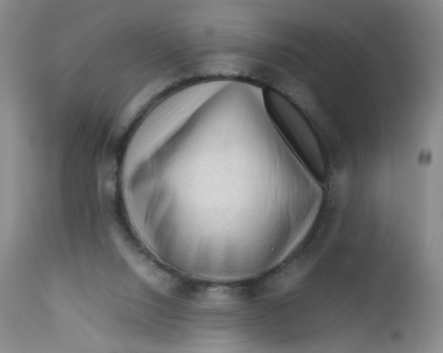 X0000112730064200909101502