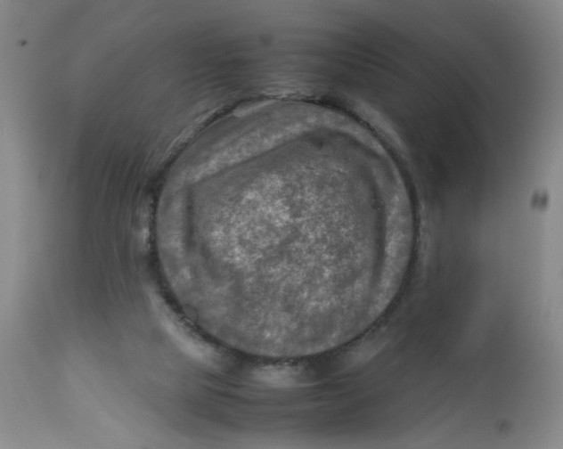 X0000112730065200909101502