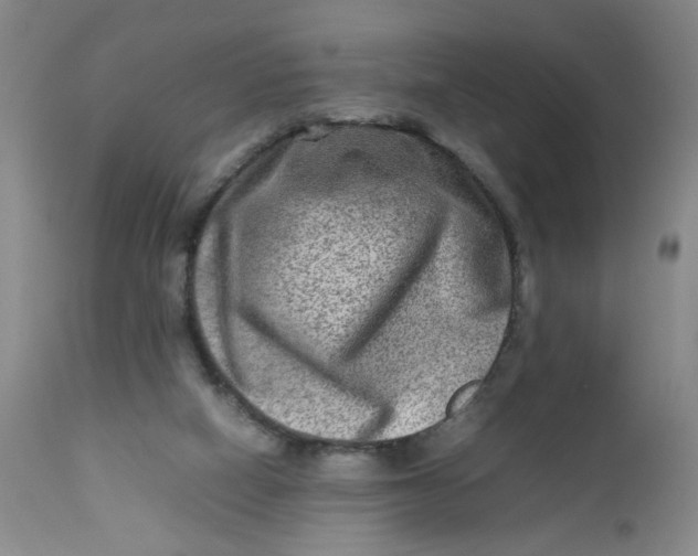 X0000112730066200909101502