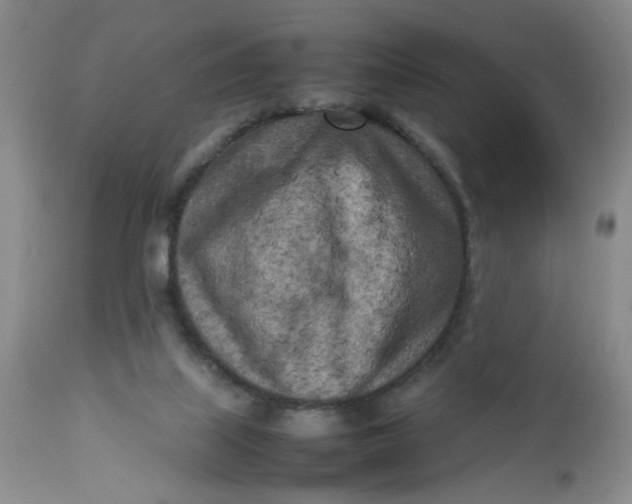 X0000112730067200909101502