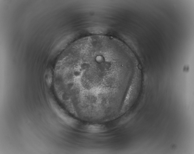 X0000112730069200909101502