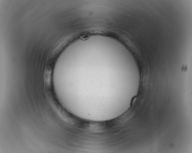 X0000112730070200909101502