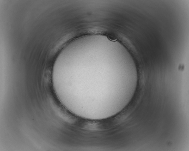 X0000112730071200909101502