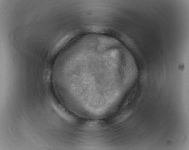 X0000112730072200909101502