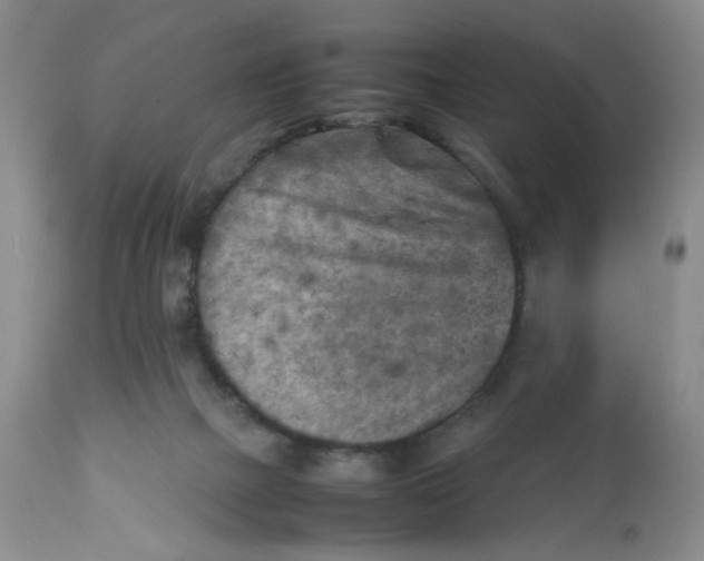 X0000112730073200909101502