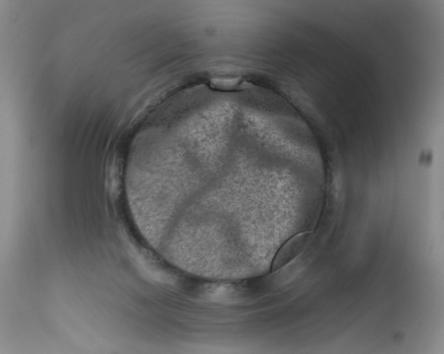 X0000112730074200909101502