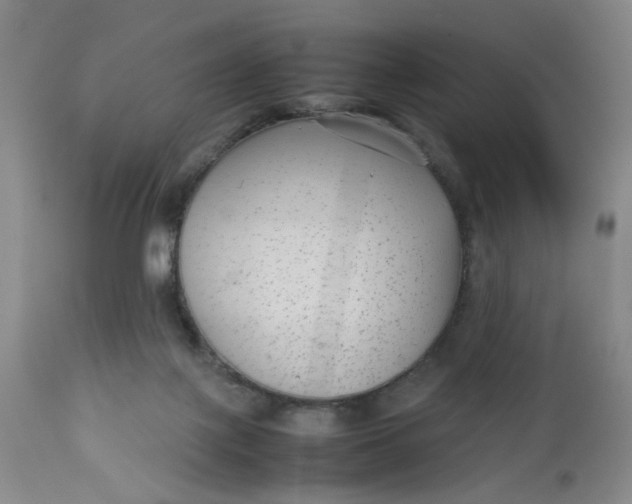 X0000112730075200909101502