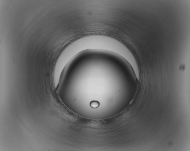 X0000112730076200909101502