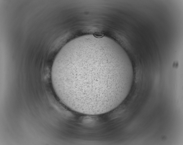 X0000112730077200909101502