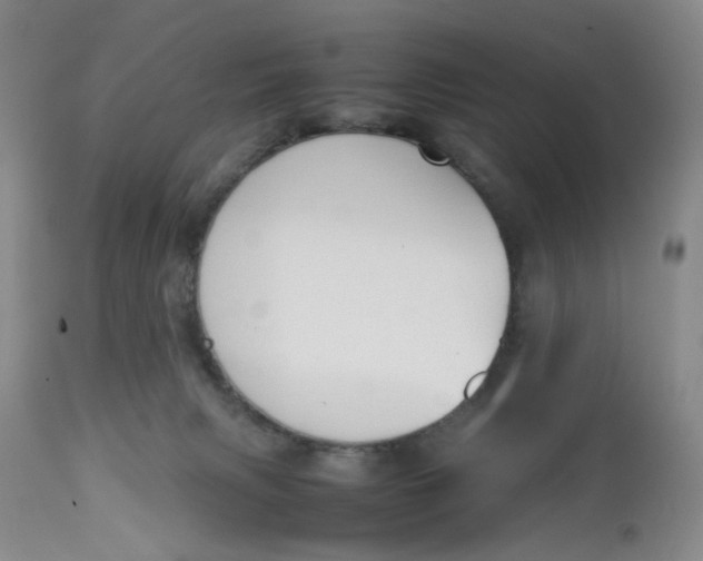 X0000112730079200909101502