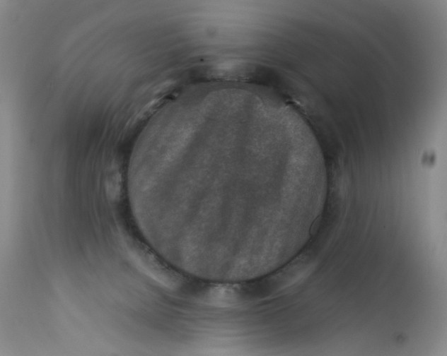 X0000112730080200909101502