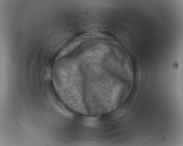 X0000112730081200909101502