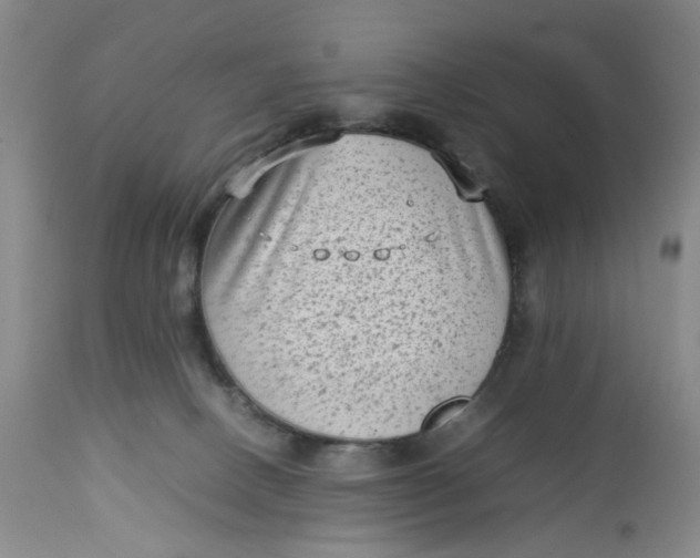 X0000112730082200909101502