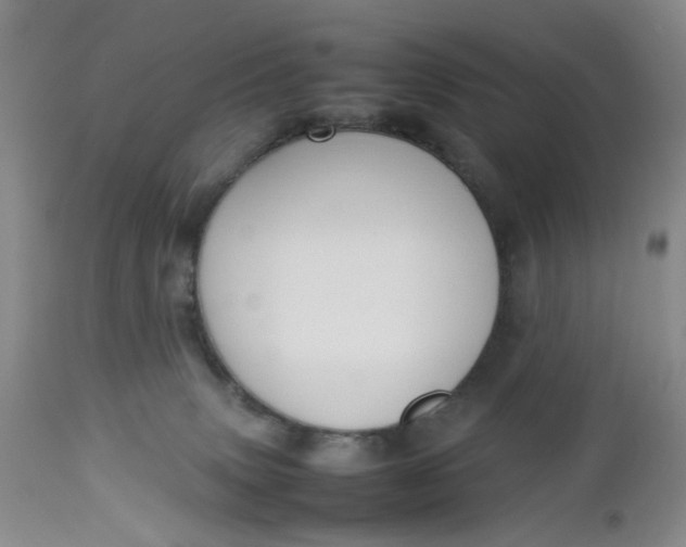 X0000112730083200909101502