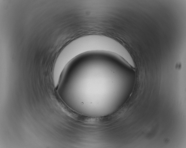 X0000112730084200909101502