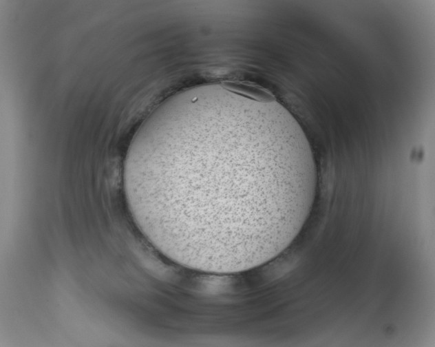 X0000112730085200909101502