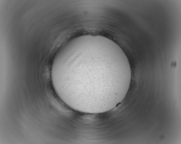 X0000112730086200909101502