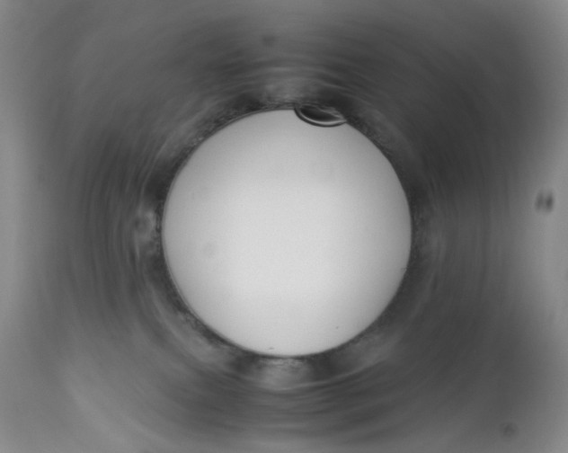 X0000112730087200909101502