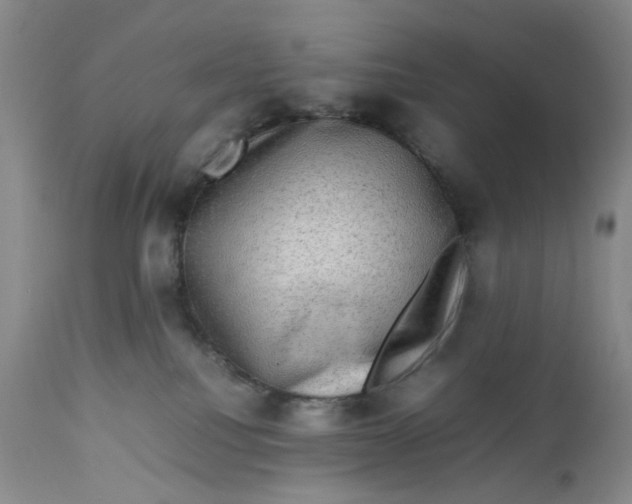 X0000112730088200909101502