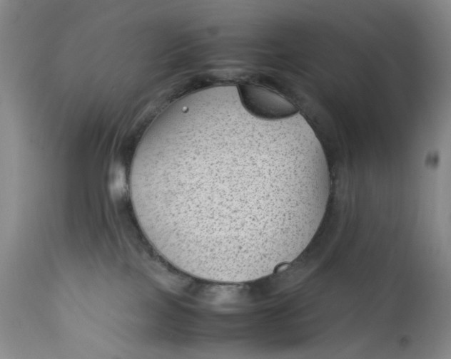 X0000112730089200909101502