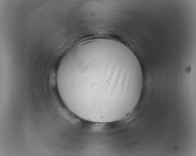 X0000112730090200909101502