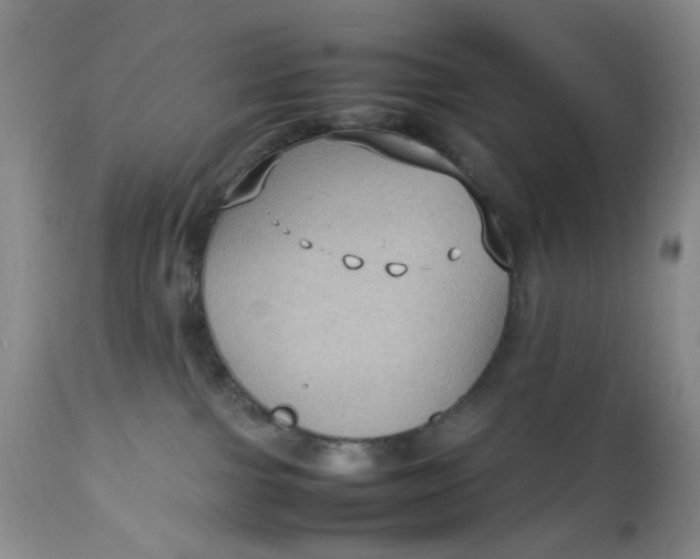 X0000112730091200909101502